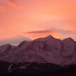 Le Chamois D'or