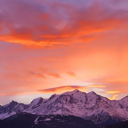 Le Chamois D'or