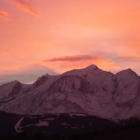 Le Chamois D'or