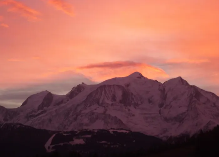 Le Chamois D'or