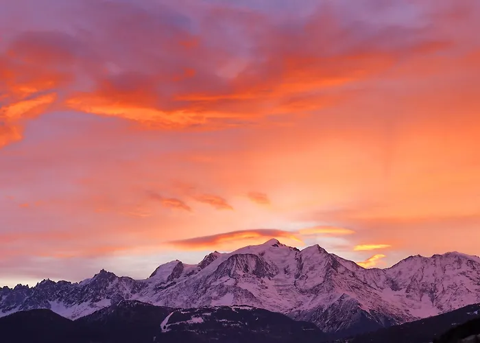 Le Chamois D'or